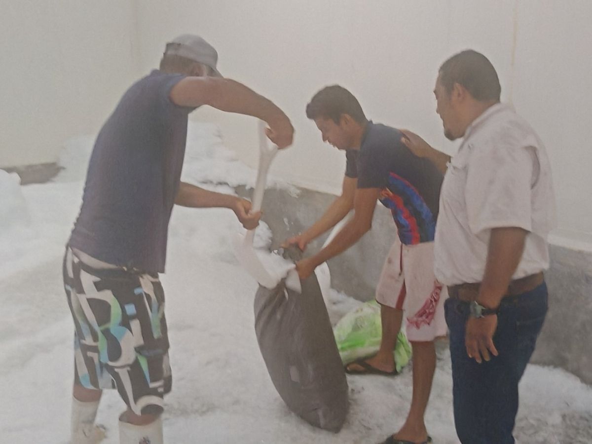 Con la máquina se benefician unas 254 personas pescadoras de las comunidades Cuajiniquil, El Jobo y Puerto Soley
