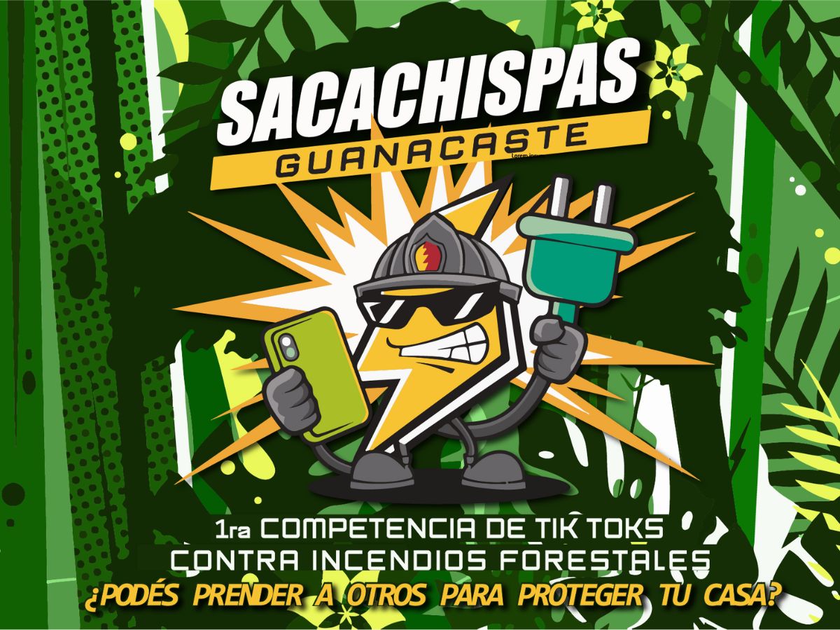 incendios forestales arte 2