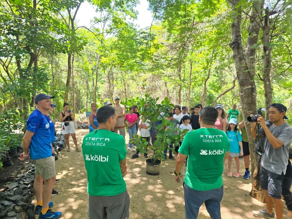 Guanacaste perdió 1.60 hectáreas de bosque primario húmedo en 22 años