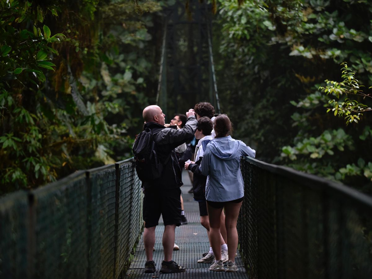 Monteverde se regenera como comunidad turística en su distinguido bosque nuboso