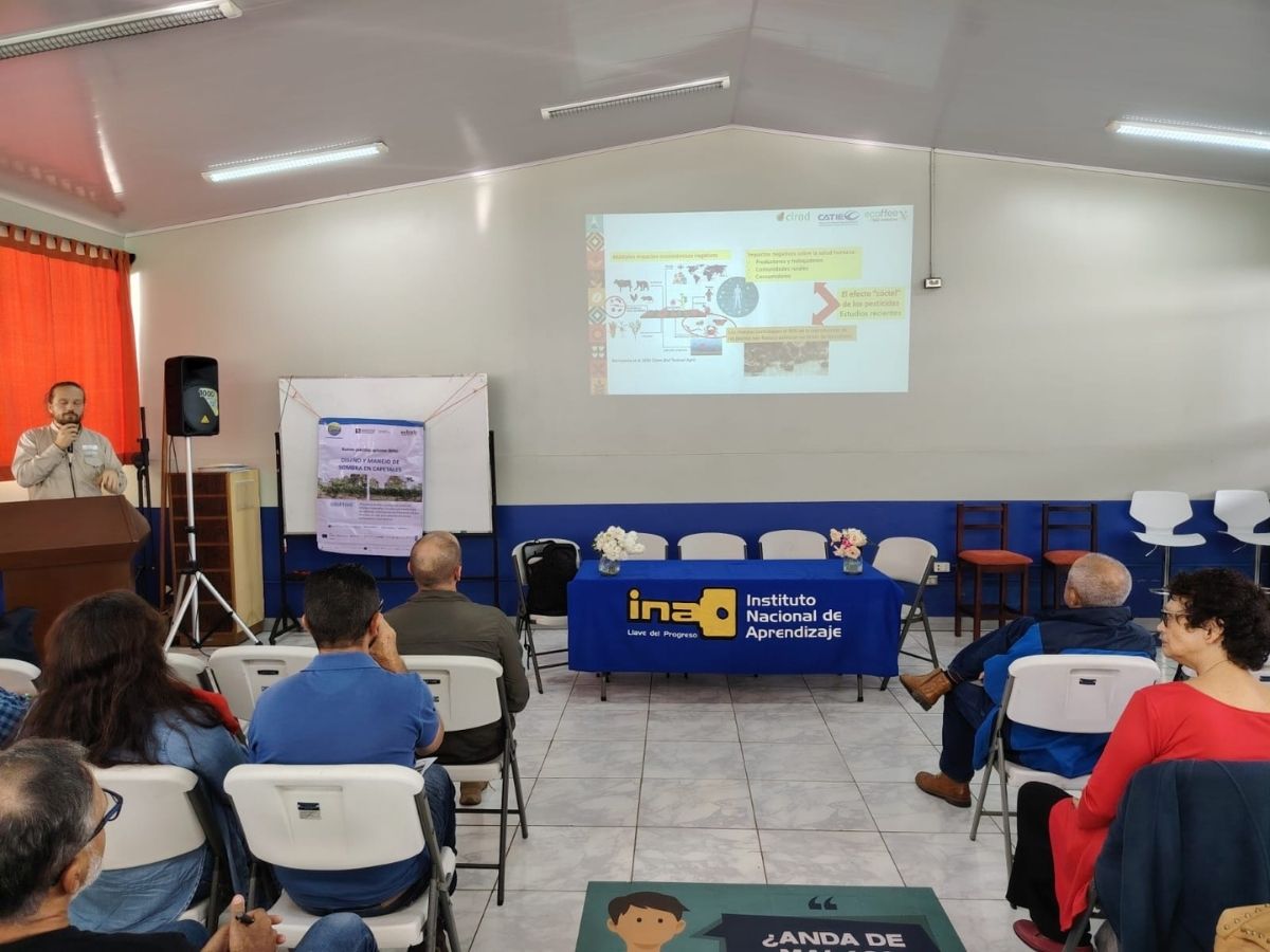 INA capacita a productores sobre producción de café sostenible