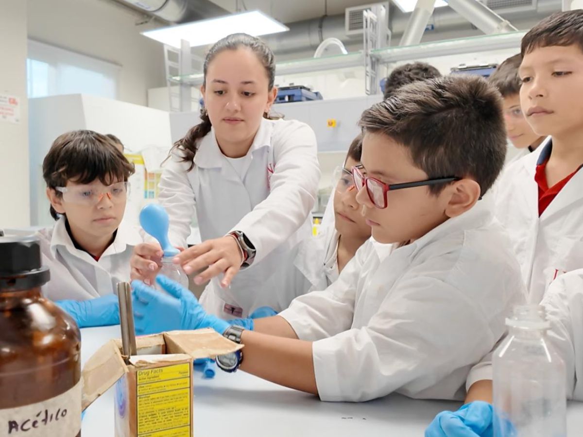 El programa EDUQUIM de la Escuela de Química de la Universidad Nacional (UNA),  abre un espacio para que niñas, niños y personas adultas descubran juntos la magia de la ciencia en el taller participativo Mis primeros pasos en química – Padres e hijos.