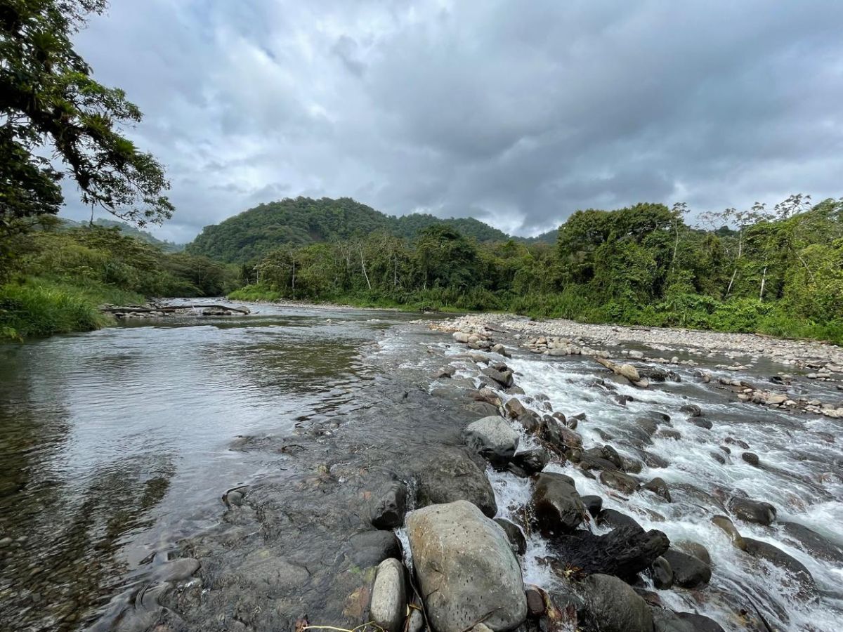 Nuevo puente sobre el río Caño Negro impulsará el turismo y el desarrollo en la región norte de Costa Rica