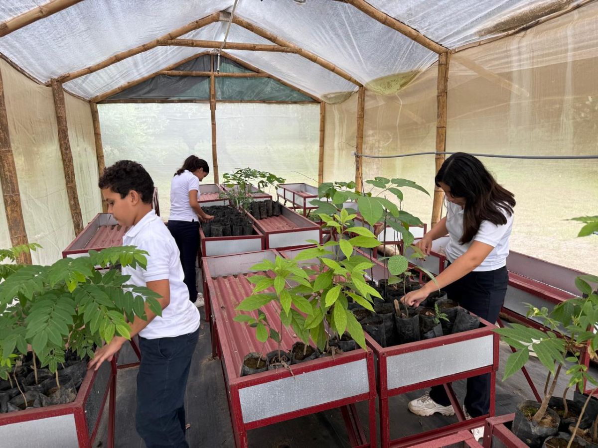 Protege el mar, los bosques y la niñez mediante un plan integral