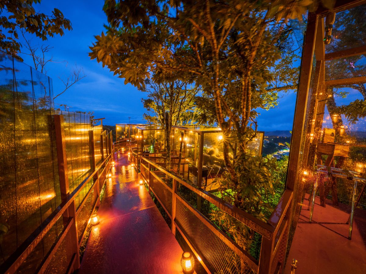 san lucas treetop dining 1