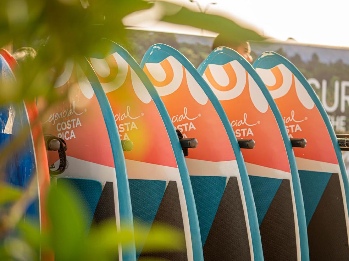 surfing pura vida 2