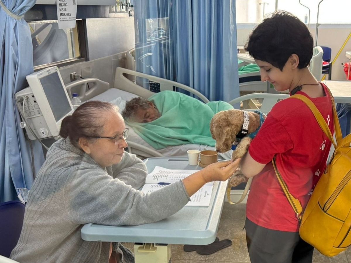 Se están realizando alianzas para llevar terapias a hospitales del país.
