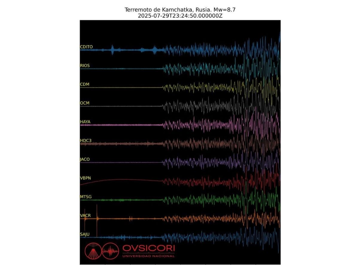 En la figura presentada a continuación, se muestra el registro sísmico de la componente vertical de varias estaciones sismológicas operadas por el OVSICORI en Costa Rica. 