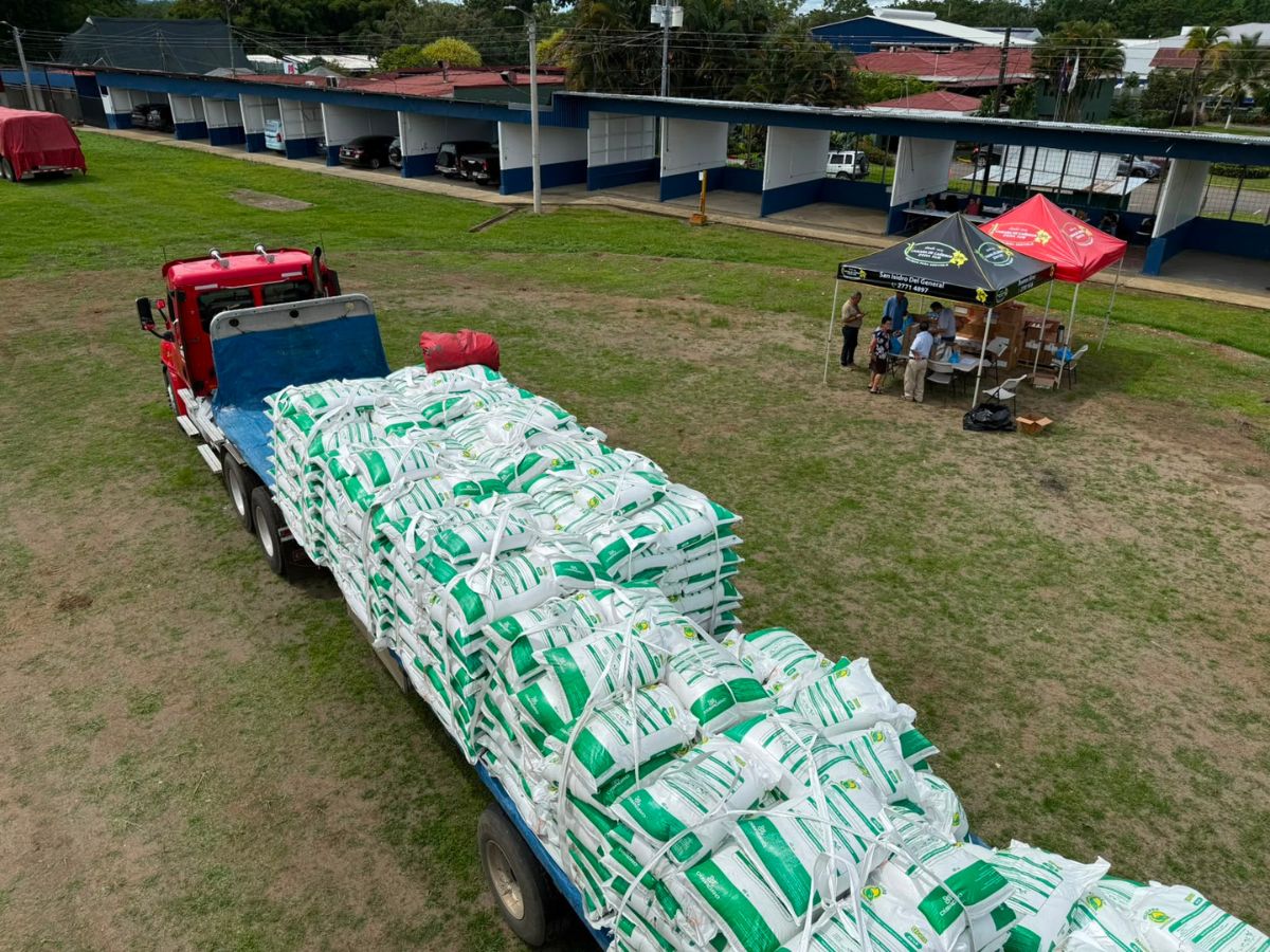 El MAG concluye con apoyo de la CNE, la entrega de insumos para reactivar la producción cafetalera afectada por los fenómenos climáticos de noviembre 2024.