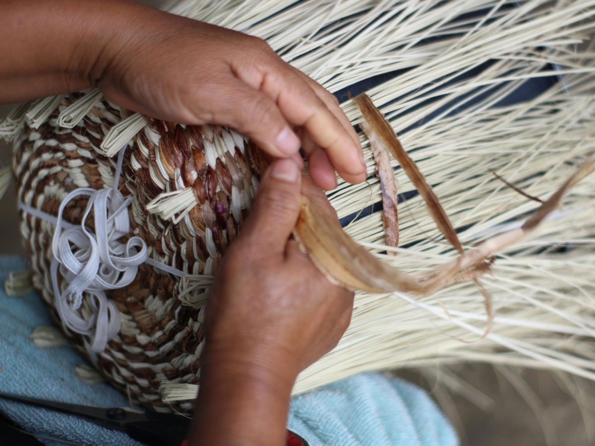 Población beneficiaria del IMAS podrá acceder a un descuento del 7,5% en la plataforma de e-commerce y servicios de mensajería de Correos de Costa Rica.