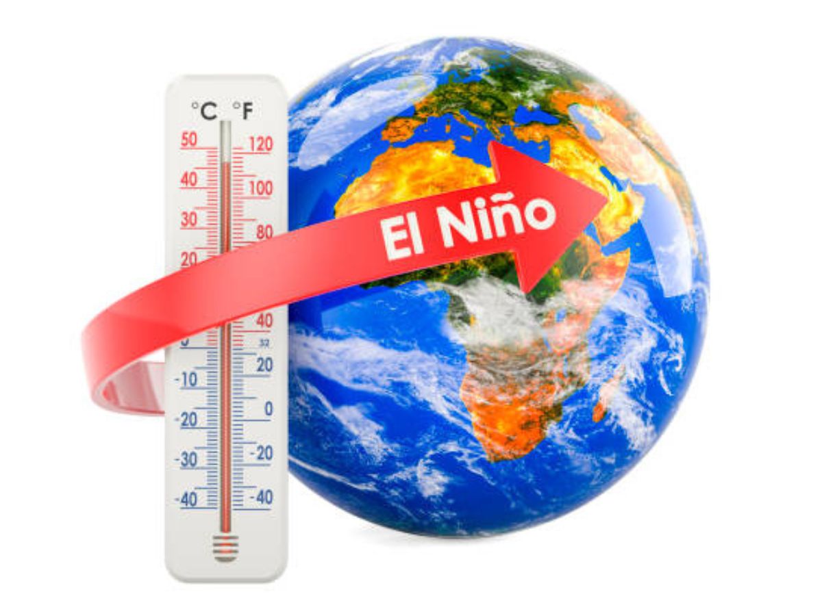 CANAPEP y CNAA hacen un llamado preventivo a las autoridades para anticipar posibles impactos climáticos sobre cultivos, logística internacional, costos de transporte y cadenas de abastecimiento.