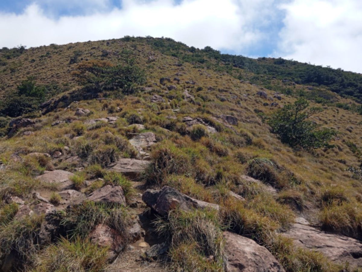 Las visitas al Sector Pailas del Volcán Rincón de la Vieja permiten aventurarse en senderos de grandes longitudes y por terrenos escarpados, como por ejemplo el sendero a las cataratas. 