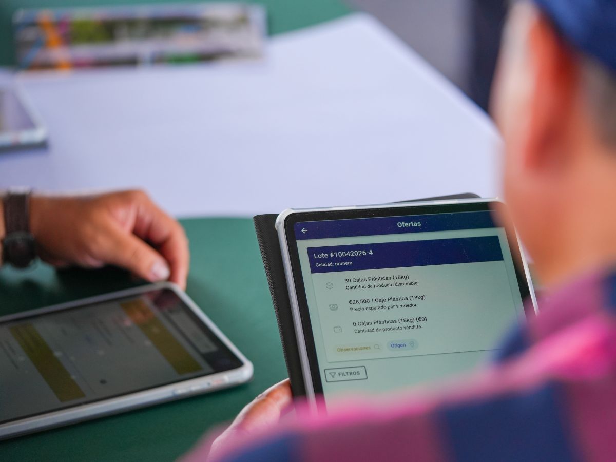 La nueva plataforma nacional de subastas agropecuarias fortalece la transparencia en la formación de precios y conecta directamente a productores con compradores.