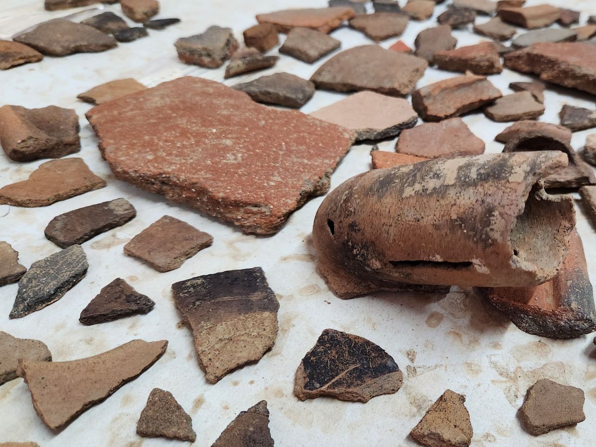 La investigación recuperó evidencia inédita sobre la vida cotidiana de las poblaciones precolombinas que habitaron el Delta del Diquís entre los años 800 y 1500 d.C.