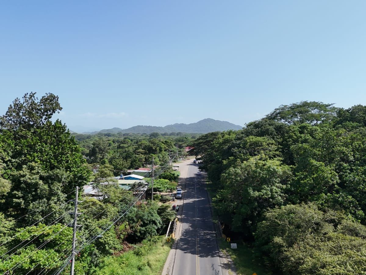 Puentes Gallina en Carrillo 