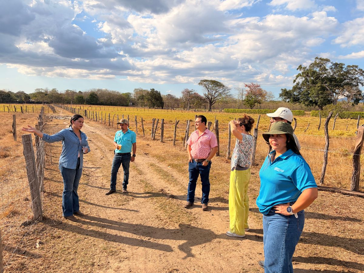 El Programa Regional de Adaptación basada en Ecosistemas para aumentar la resiliencia climática en el Corredor Seco Centroamericano y las Zonas Áridas de República Dominicana realizó el proceso de validación del Plan de Participación de Partes Interesadas, junto a personas productoras, instituciones y actores locales de los cantones de Bagaces, Liberia, Carrillo, Santa Cruz y Nicoya en Guanacaste. 