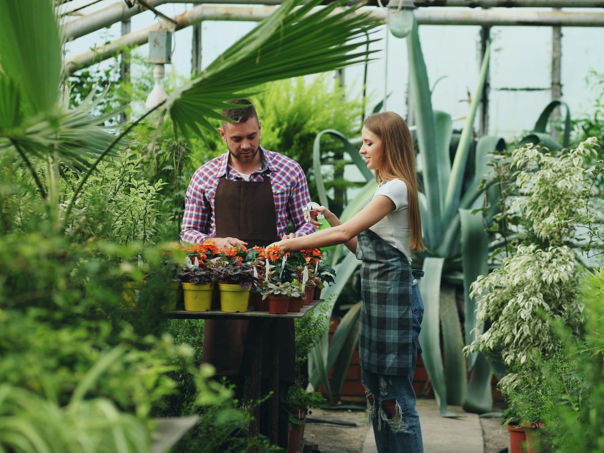 Estudio revela que el 54% de las organizaciones realiza actividades directamente vinculadas a sectores productivos sostenibles.