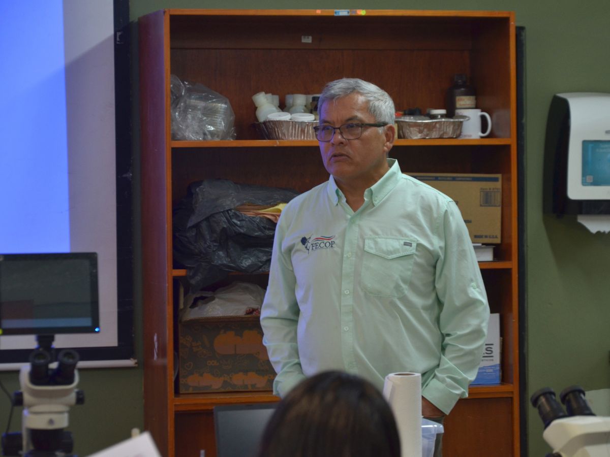 18 participantes de Costa Rica, Colombia y Panamá recibieron capacitación especializada para identificar huevos y larvas de peces, cuyo estudio es fundamental para comprender sus ciclos reproductivos y contribuir a la conservación de las especies marinas.