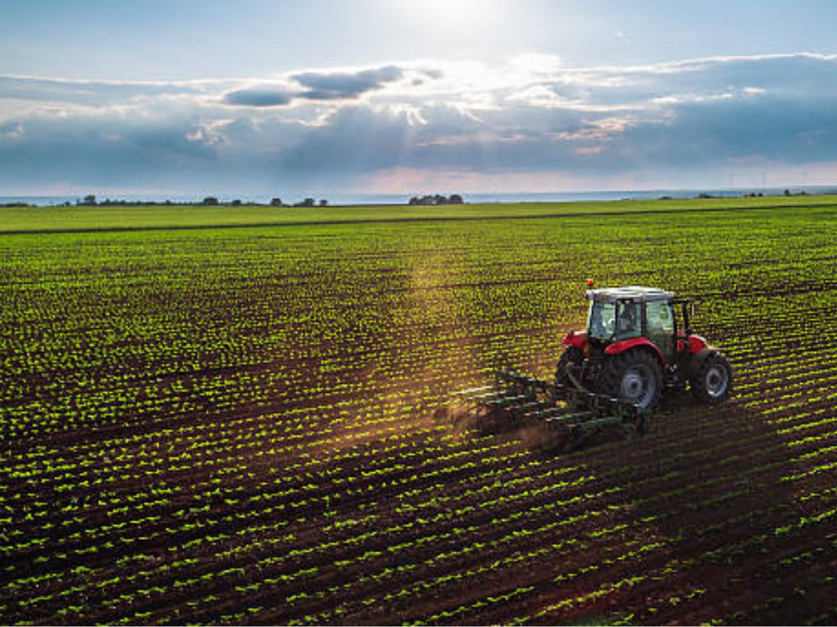 El piloto RECSOIL impulsa la recarbonización de los suelos agropecuarios y fortalece el desarrollo del mecanismo nacional de Pago por Servicios Ambientales (PSA) en suelo, contribuyendo a la acción climática y a una agricultura más sostenible en 32 cantones del país