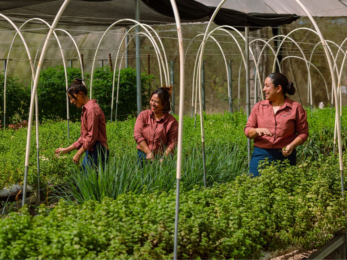 En el marco del Día de la Madre, Reserva Conchal reconoce a mujeres que encuentran en el trabajo y el aprendizaje nuevas oportunidades para crecer.