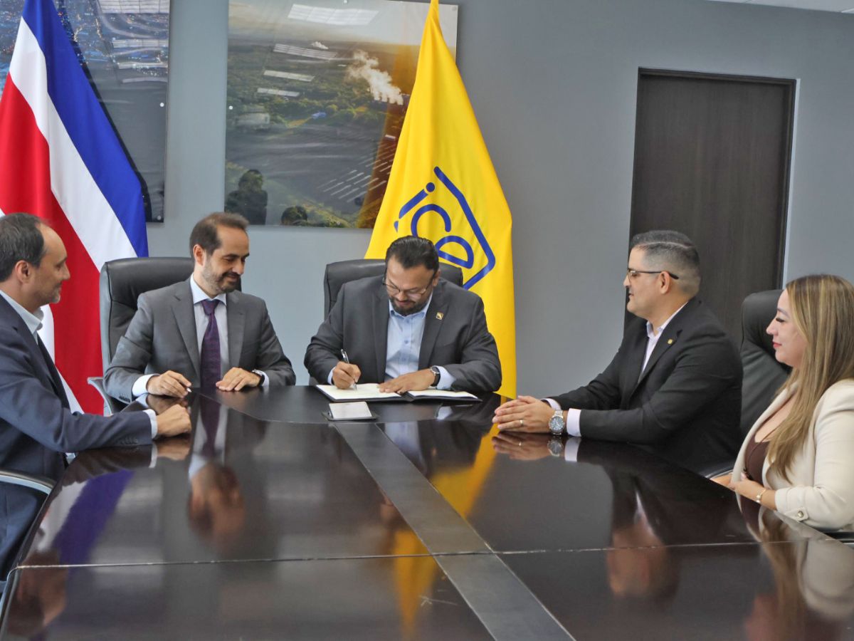 Dirigido a modernización de generación hidroeléctrica, redes de transmisión y alumbrado público.