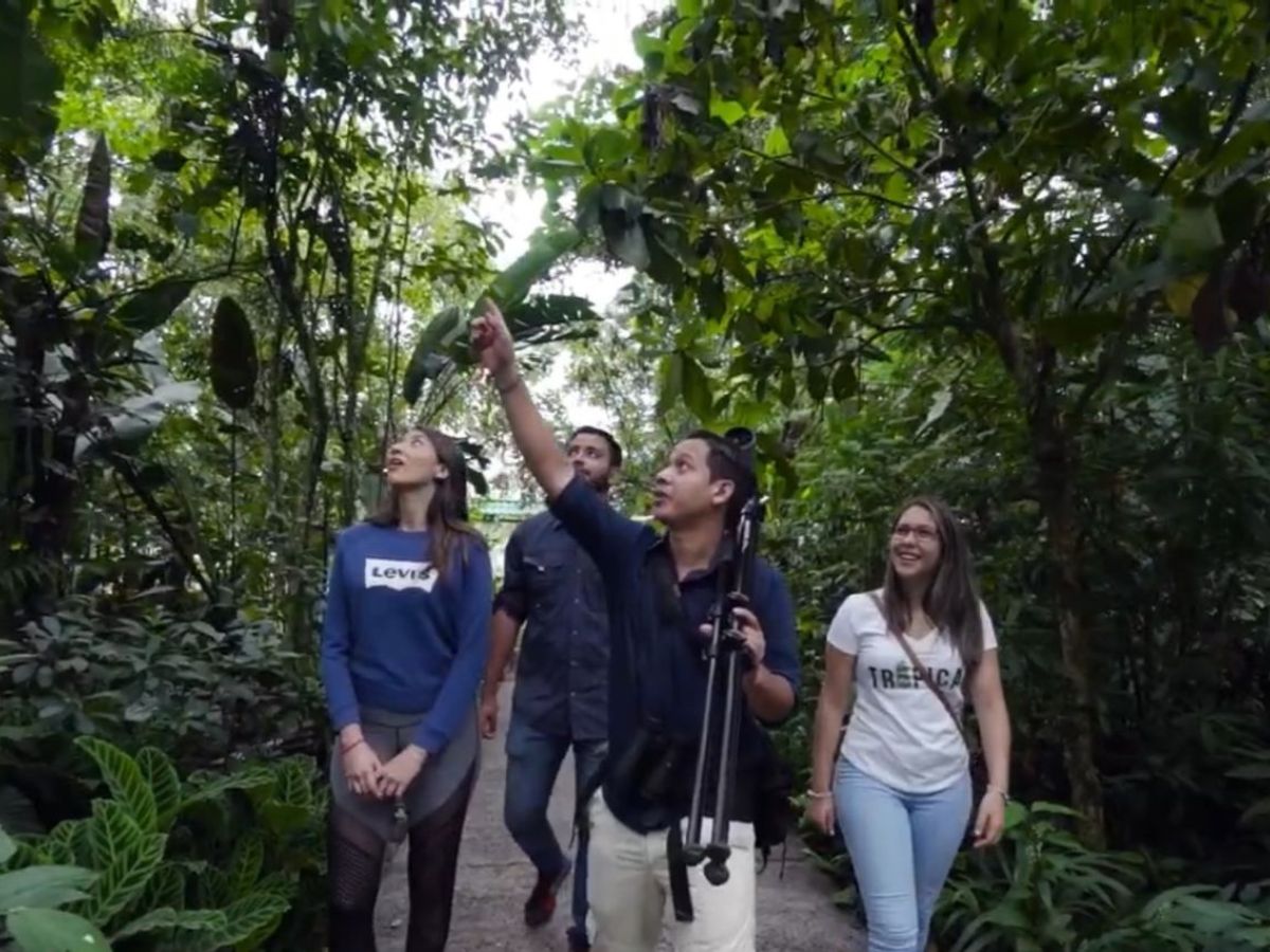 ict renovo plataforma turismo sostenible 1