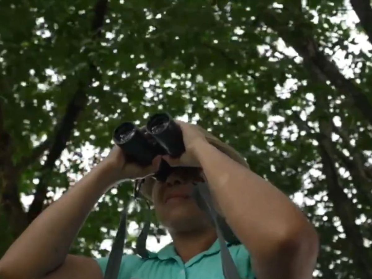 ict renovo plataforma turismo sostenible 3