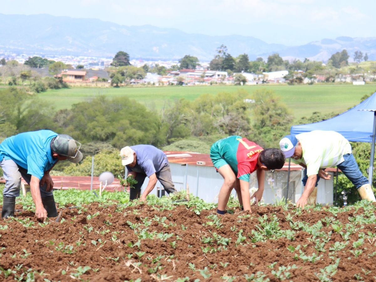 En el asentamiento El Tigre donde se implementó un sistema de riego
