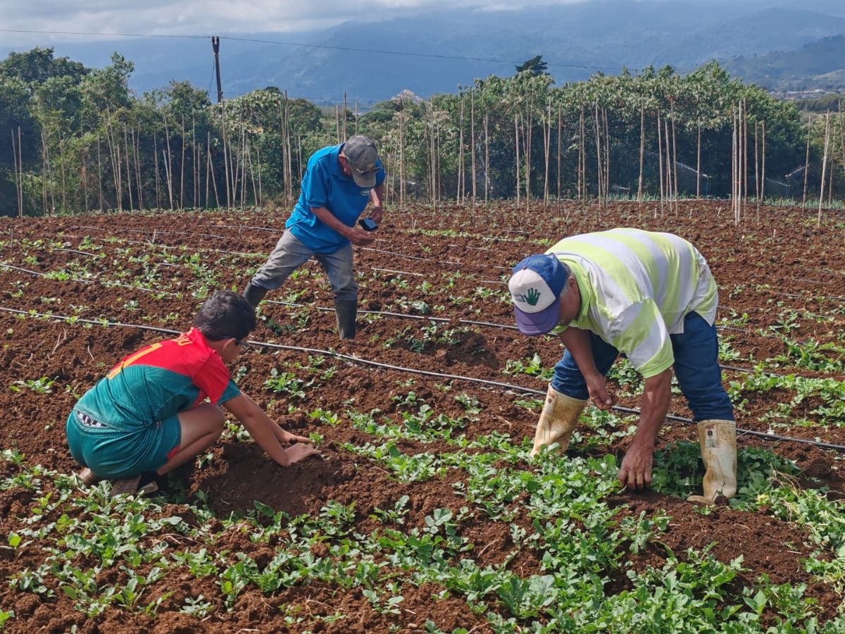 La obra incluye mejoras en la captación, conducción y distribución del agua