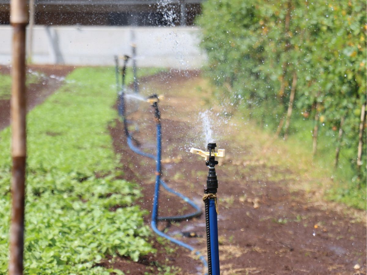 Proyecto de riego asentamiento El Tigre