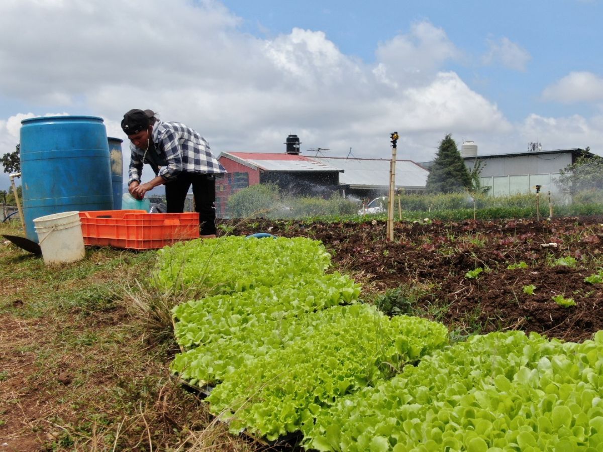 El proyecto en el Asentamiento Don Rogelio cuenta con más de cinco kilómetros de infraestructura
