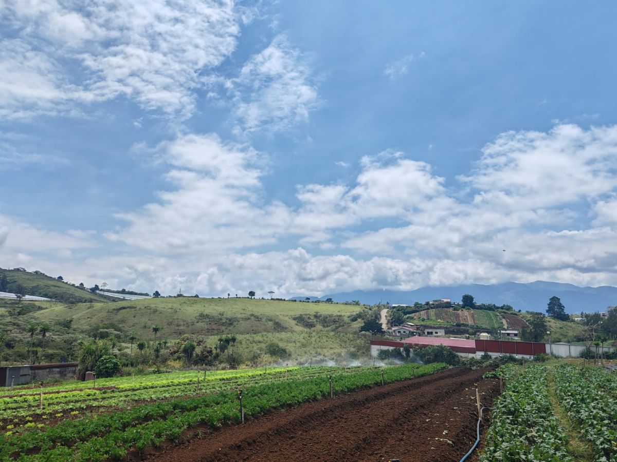 Proyecto en el Asentamiento Don Rogelio