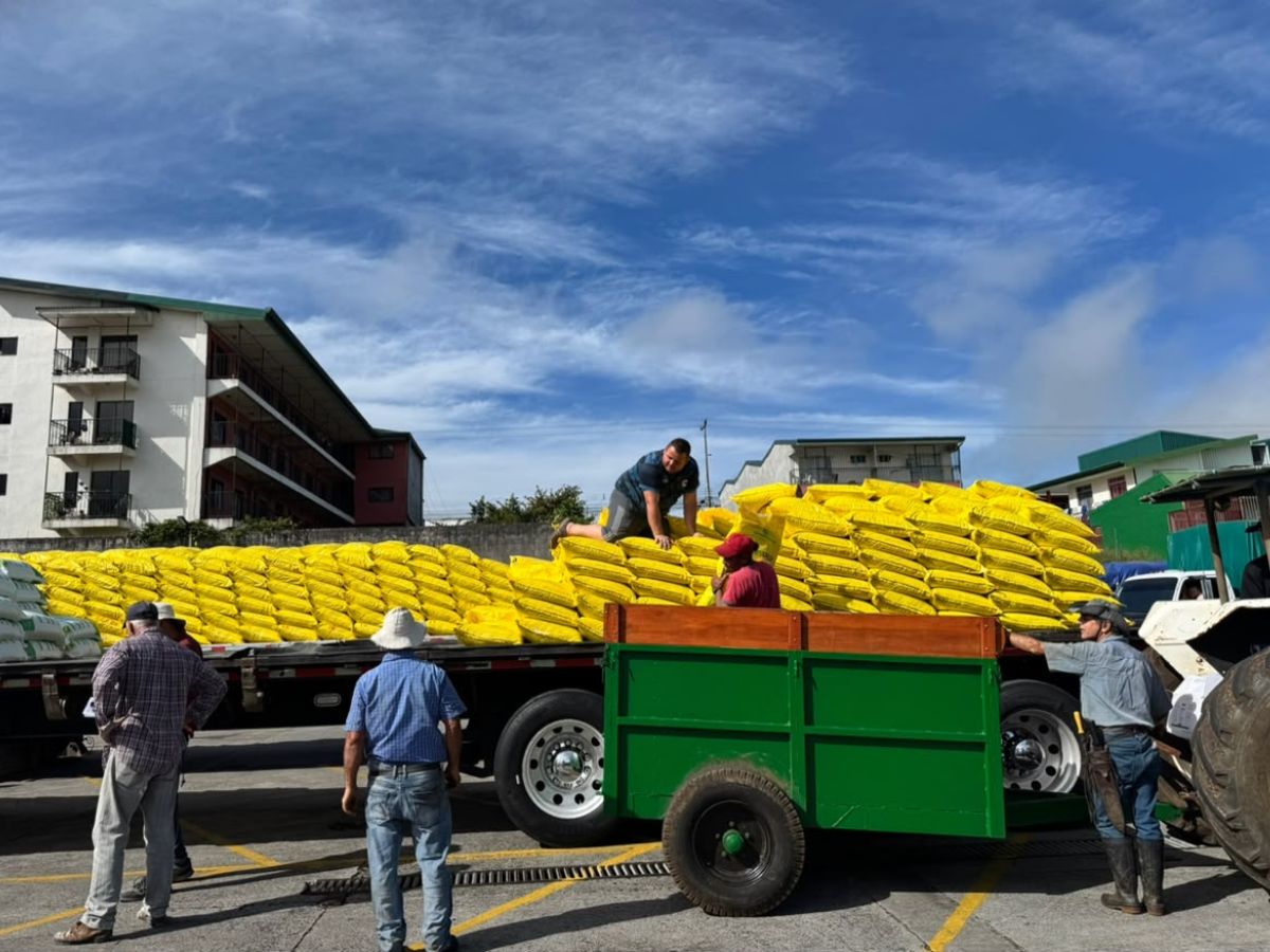 Inversión de ₡254,8 millones fortalece la caficultura en cinco cantones.
