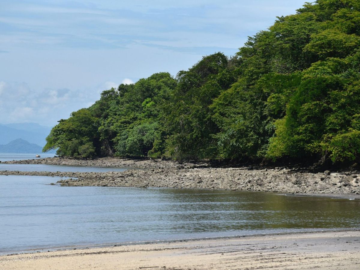 Costa Rica se une para la 6ta Limpieza Nacional por los Océanos en el marco del Día Mundial de los Océanos y los 30 años del Programa Bandera Azul Ecológica.