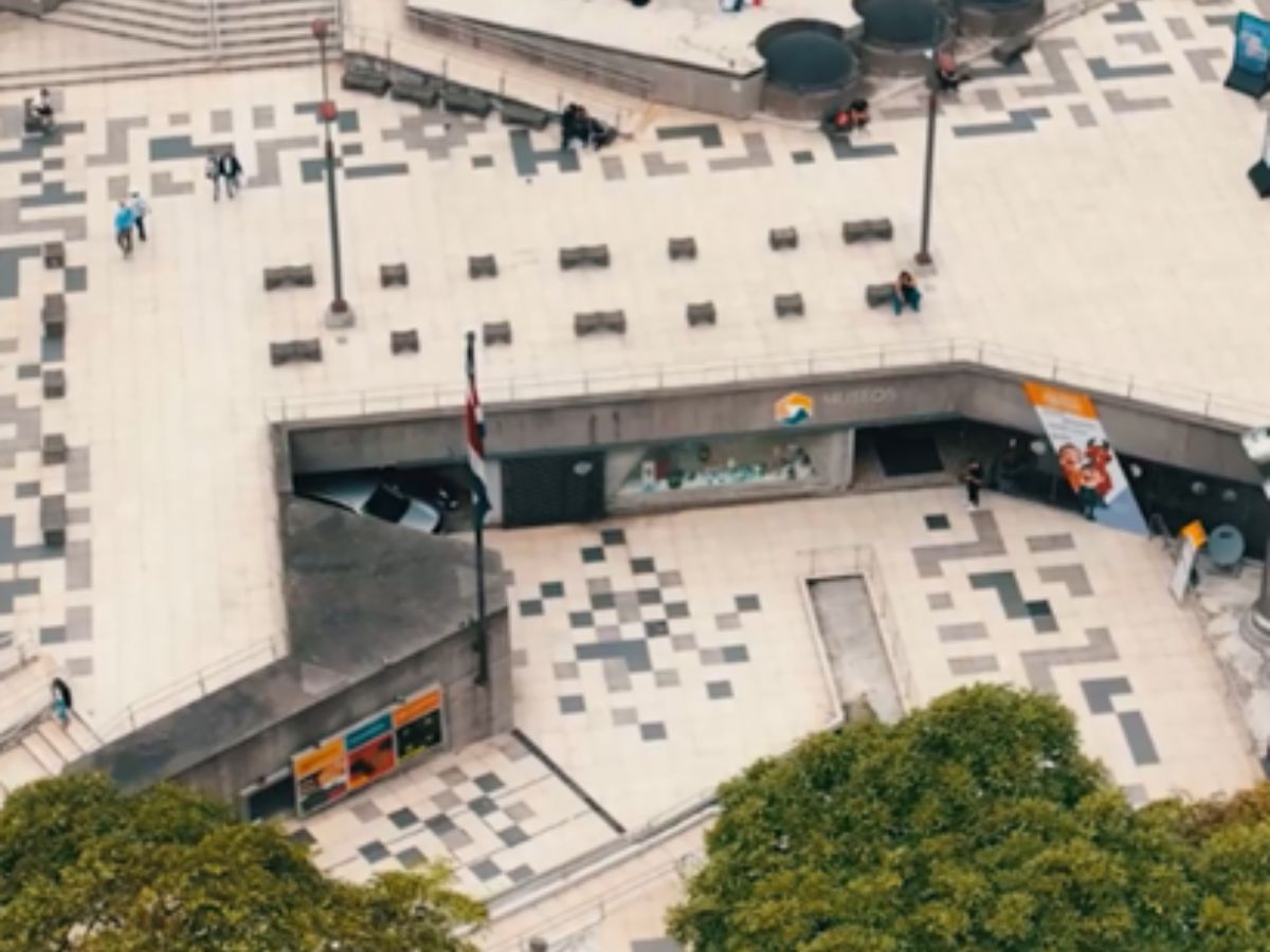 Una instalación de árboles nativos vestirá la entrada principal de los Museos del Banco Central.