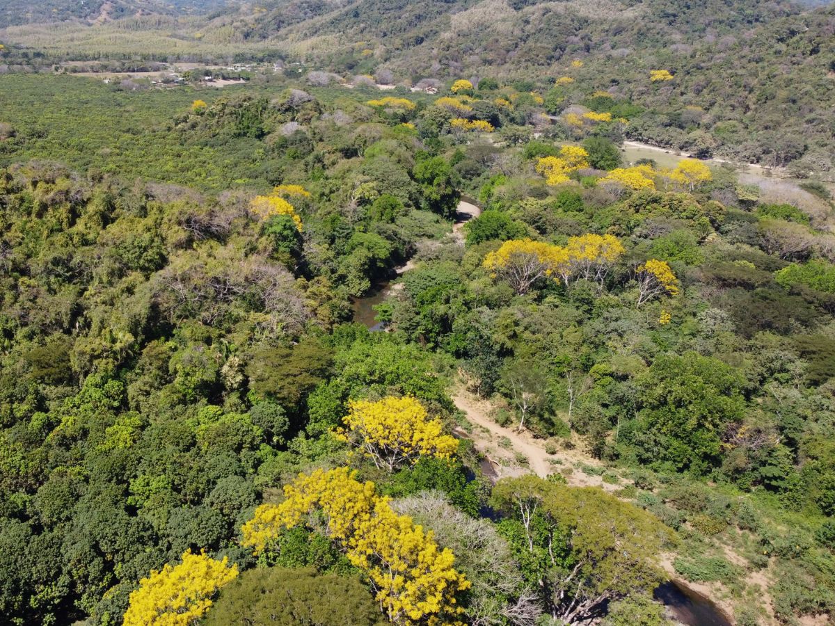 La comunidad impulsa el primer corredor biológico de Guanacaste basado 100% en acuerdos voluntarios de propietarios privados.