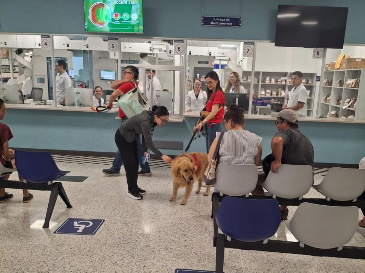 Programa de Coopenae-Wink y ACOTEAMA busca alivio en momento críticos: