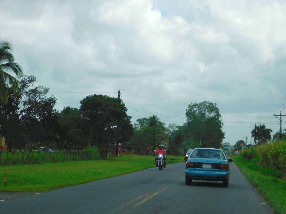 44 de los 113 fallecidos perdieron la vida en un accidente vinculado al abuso de la velocidad.