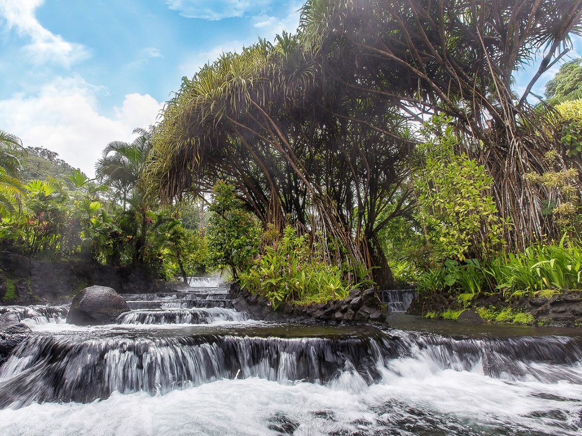 El futuro del turismo verde o sostenible de Costa Rica dependerá en gran medida de que la industria del sector actúe con un enfoque positivo y transformador, que recupere el medioambiente, la cultura y la economía local.