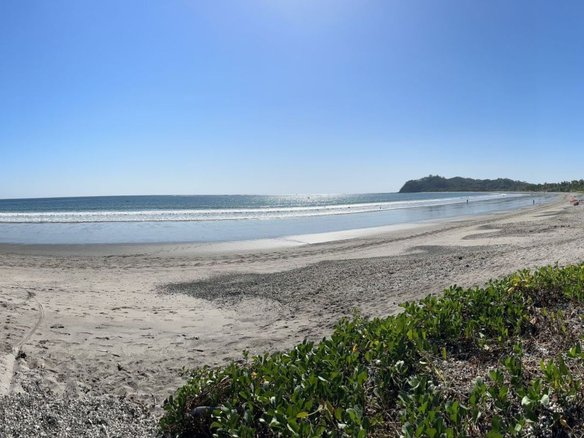 Luego de muchos esfuerzos ambientales ya es oficial que Playa Sámara, en el cantón de Nicoya, volvió a recibir el galardón de Bandera Azul Ecológica (BAE) por segundo año consecutivo un éxito que nos llena de orgullo, pero que también obliga a mantener la guardia en alto para profundizar el desarrollo sostenible en nuestra comunidad.