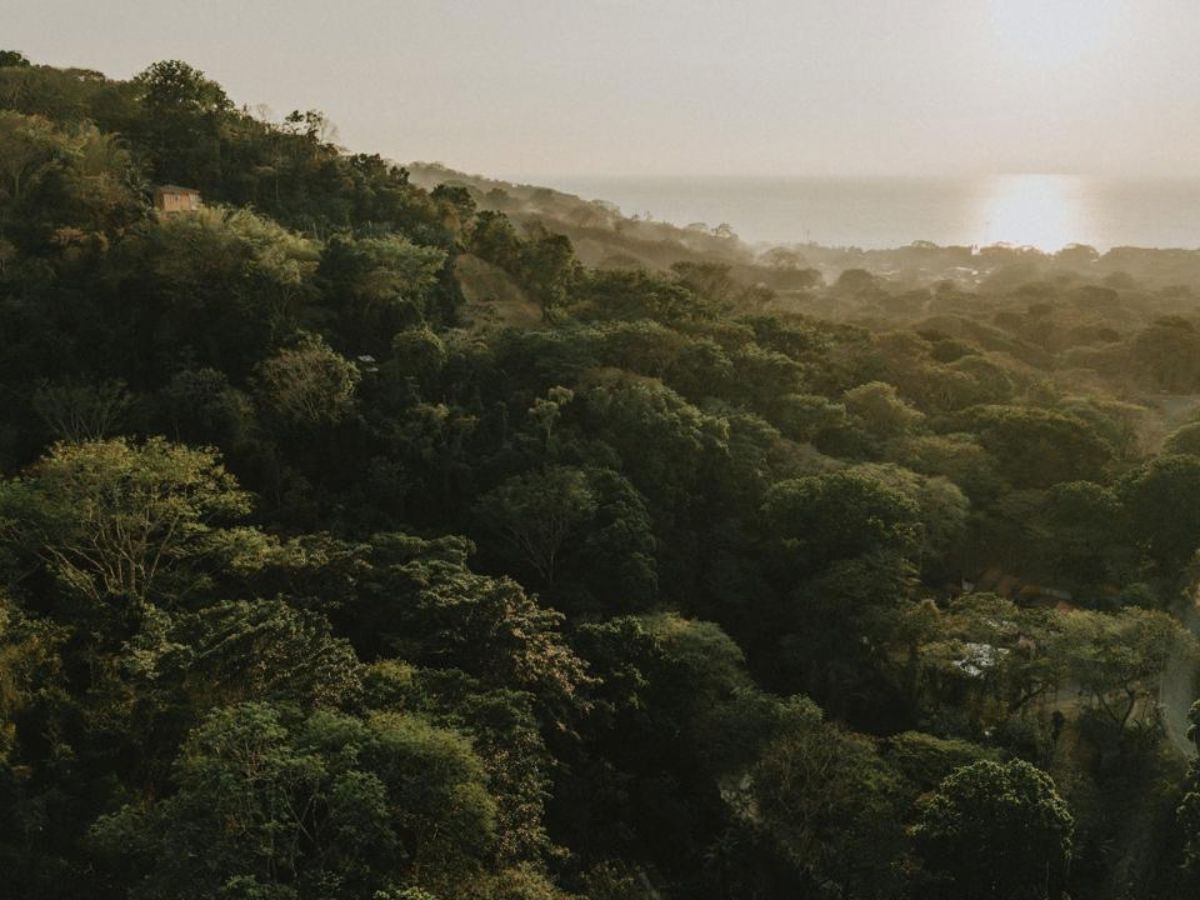 Según datos del ICT, un 65,1% de los turistas realizó actividades de ecoturismo en 2025.