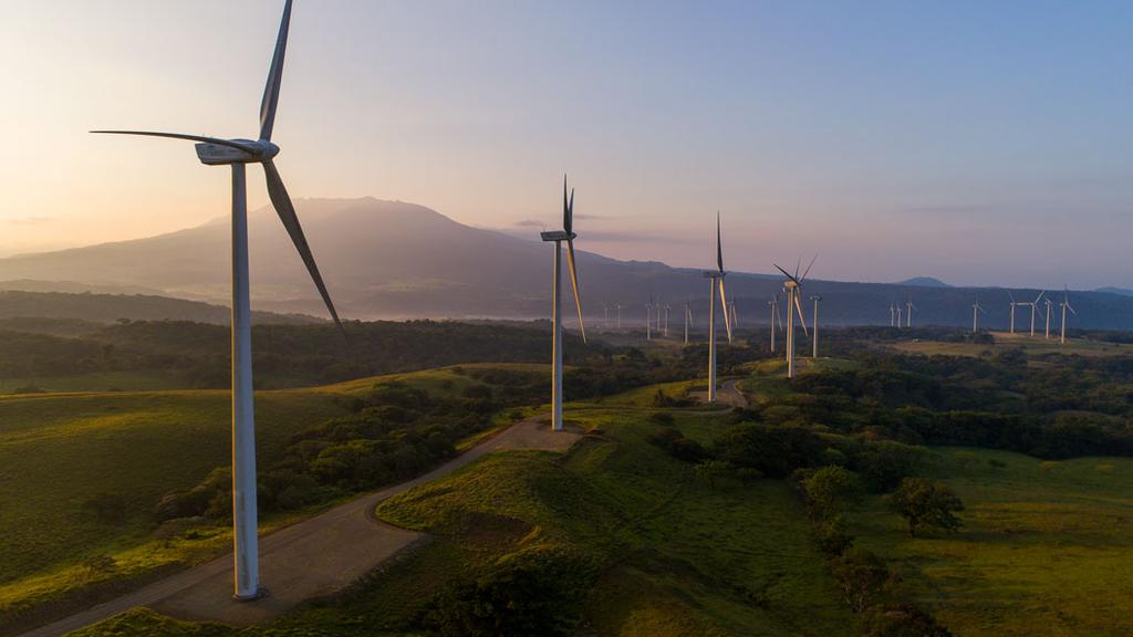 ONU declaró como derecho humano gozar de un medio ambiente limpio