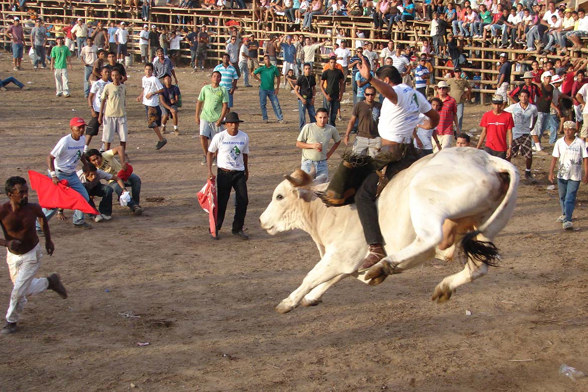 Corridas de Toros: Tradición de antaño y jolgoriosa que aún se vive con  fervor - Periódico Mensaje Guanacaste