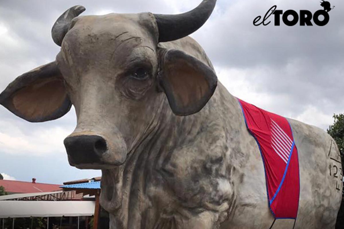 Restaurantes en Guanacaste Costa Rica